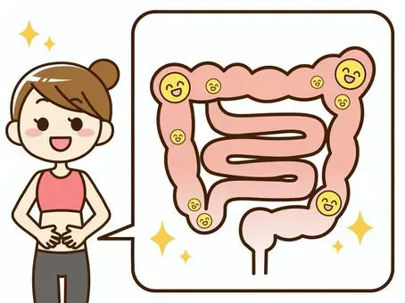 腸内環境