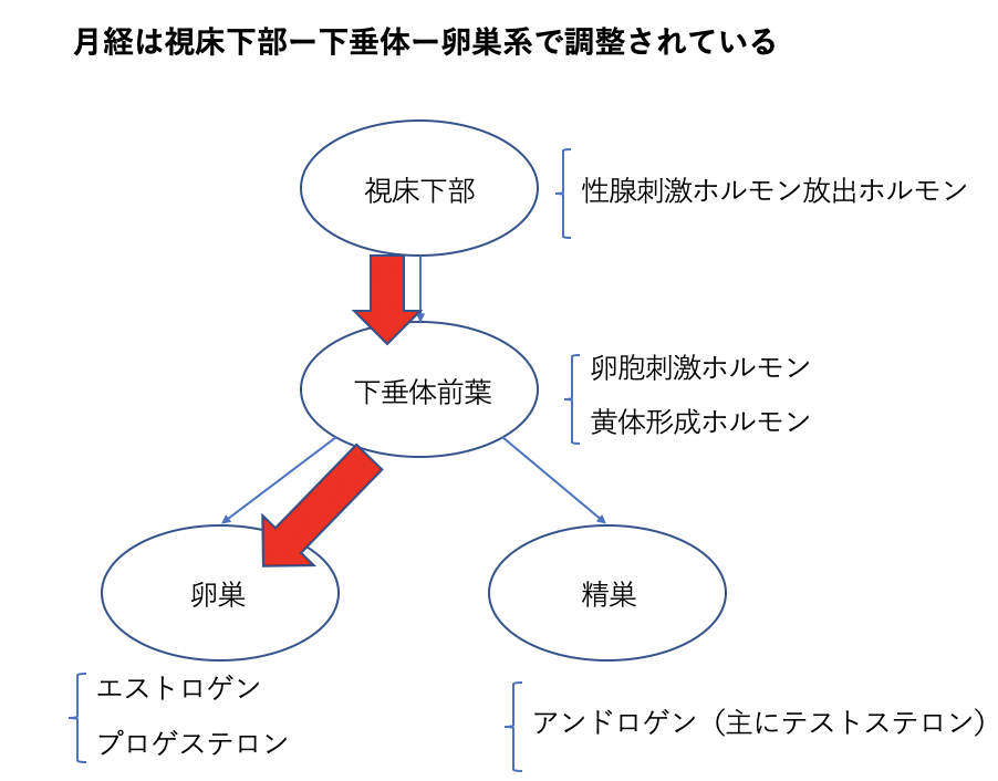 更年期障害が発生する仕組み