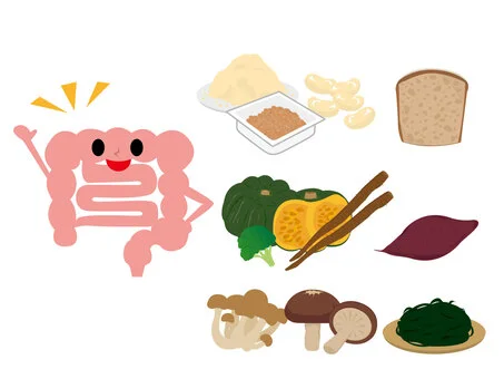 食物繊維の写真