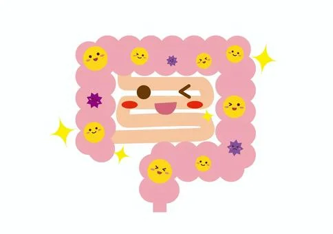 キムチの腸内環境改善効果