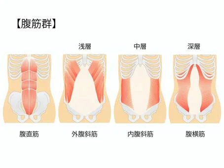腹筋
