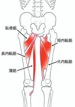 腿裏ストレッチ